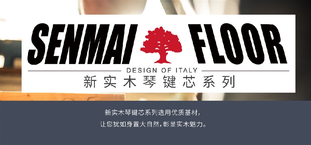 新實(shí)木琴鍵芯65系列